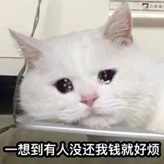 ͼƬ