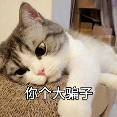 ͼƬ