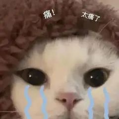 ͼƬ