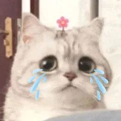 ͼƬ