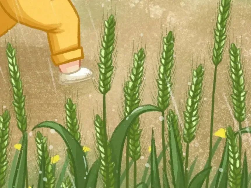 ͼƬ