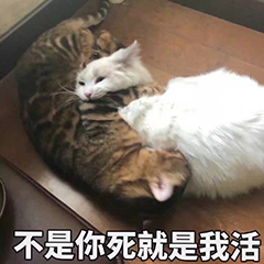 ͼƬ