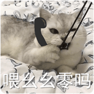 ͼƬ